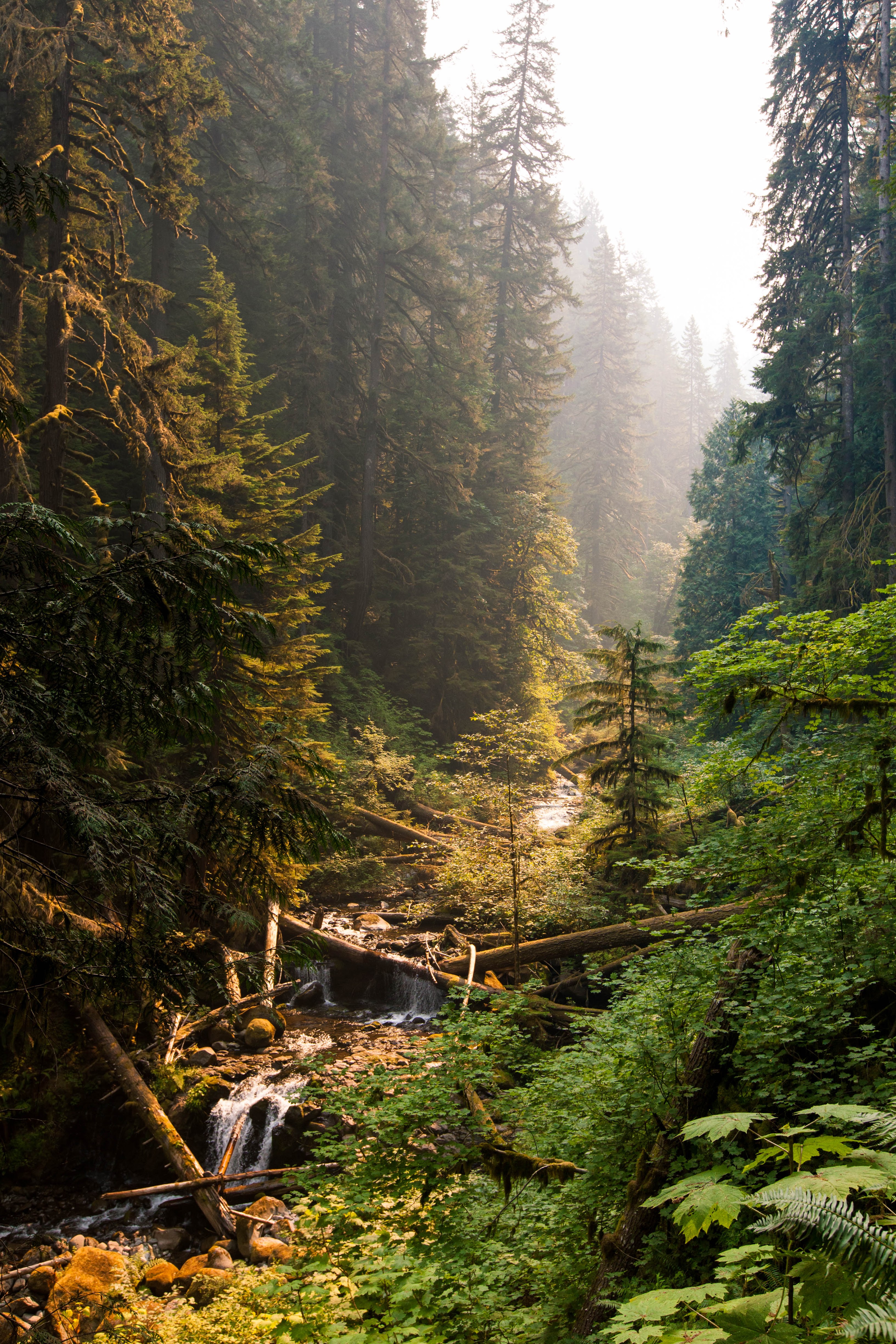 Nature photography